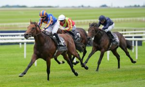 ‘Major interest’ in Aidan O’Brien colt forces bookies to slash Derby odds as huge Timeform rating backs up debut win