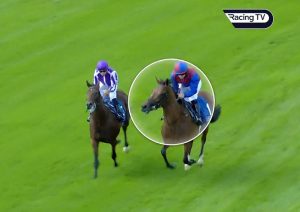 Legendary jockey uncovers next Aidan O’Brien superstar after spotting ‘impressive’ post-race antics