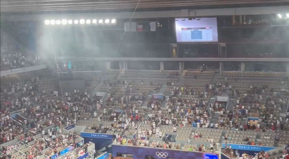 Watch moment heavy rain leaks through retractable roof of iconic stadium at Olympics 2024 as fans head for cover