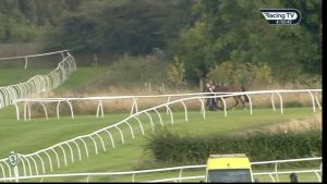 Racing chaos as loose horse wanders around for 20 MINUTES and delays race as fans slam ‘absolute farce’