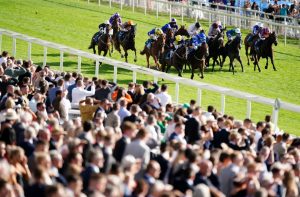 Templegate’s tips: The ultimate York Ebor cheat sheet and what you need to know to beat the bookies