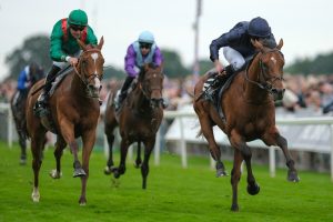 ‘No horse is too quick’ for City Of Troy as Aidan O’Brien lays out Breeders’ Cup plan