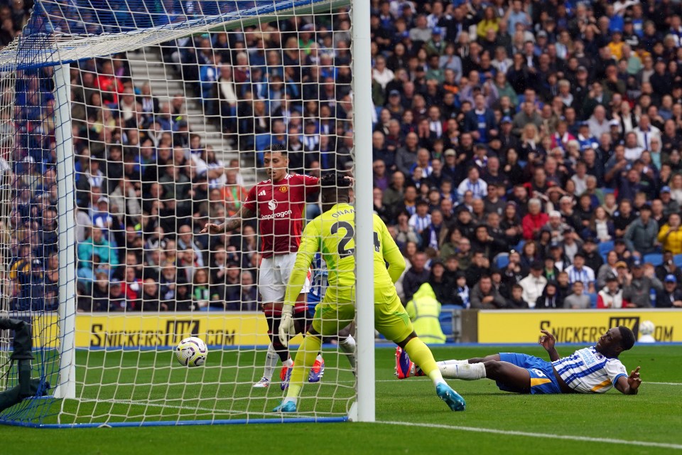 Brighton 2 Man Utd 1: Joao Pedro scores stunning injury-time winner after Joshua Zirkzee’s KNEE costs visitors goal