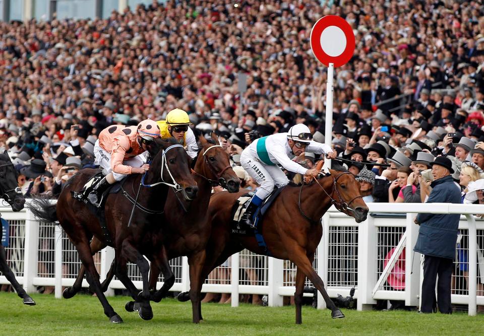 World’s greatest sprinter Black Caviar, who famously won at Royal Ascot, dies aged 18