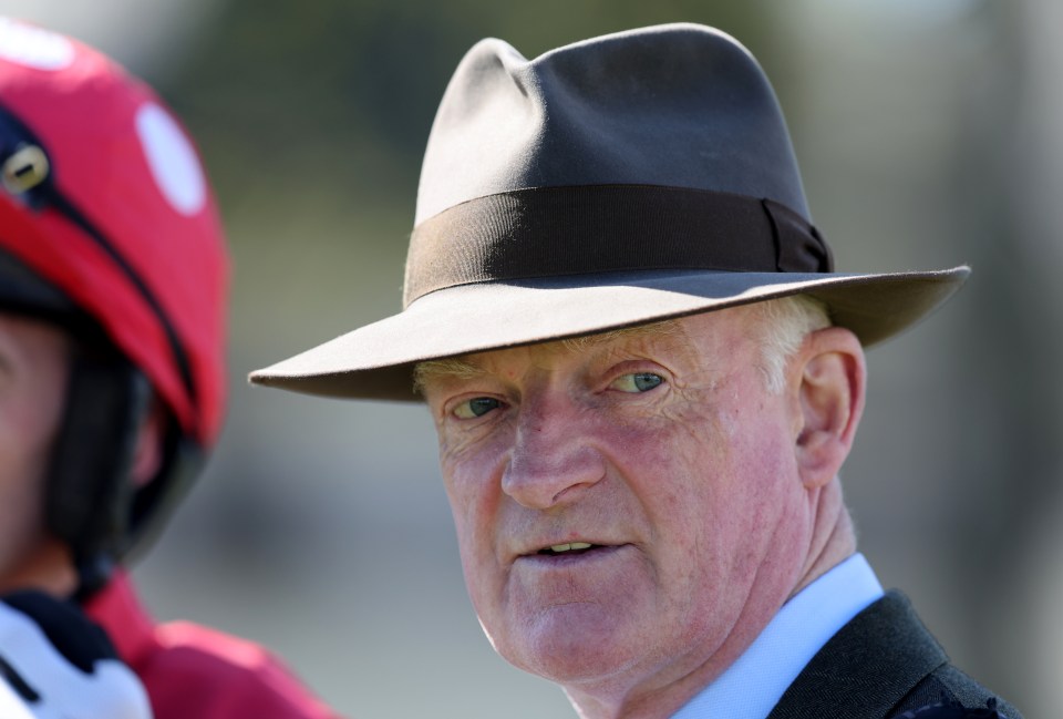 ‘Quality in every purchase’ – Willie Mullins spends over £1million on raft of new recruits for jumps season