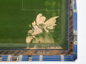 Fans praise Newcastle’s classy gesture as club donates £15,000 to fix AFC Wimbledon sinkhole after fixture postponed