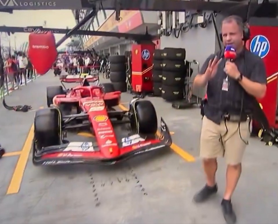 Sky Sports F1 reporter Ted Kravitz swears in live TV gaffe… in same week FIA president tried to crack down on swearing