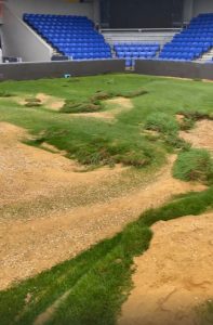 Incredible before and after video shows AFC Wimbledon’s progress fixing huge sinkhole after Carabao Cup clash postponed