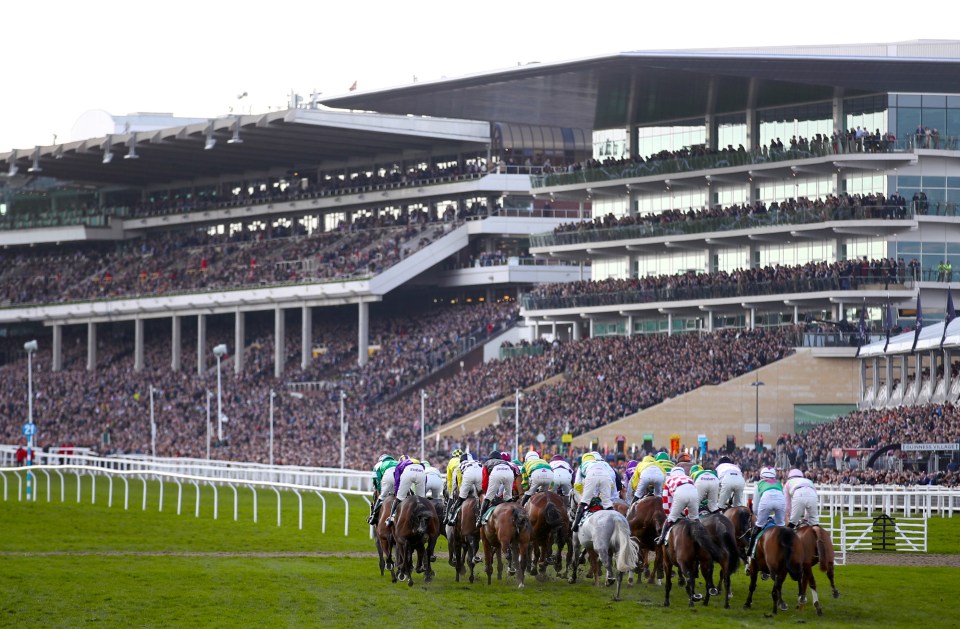 Big boost for punters as Jockey Club strike deal to help tackle eye-watering hotel prices during Cheltenham Festival