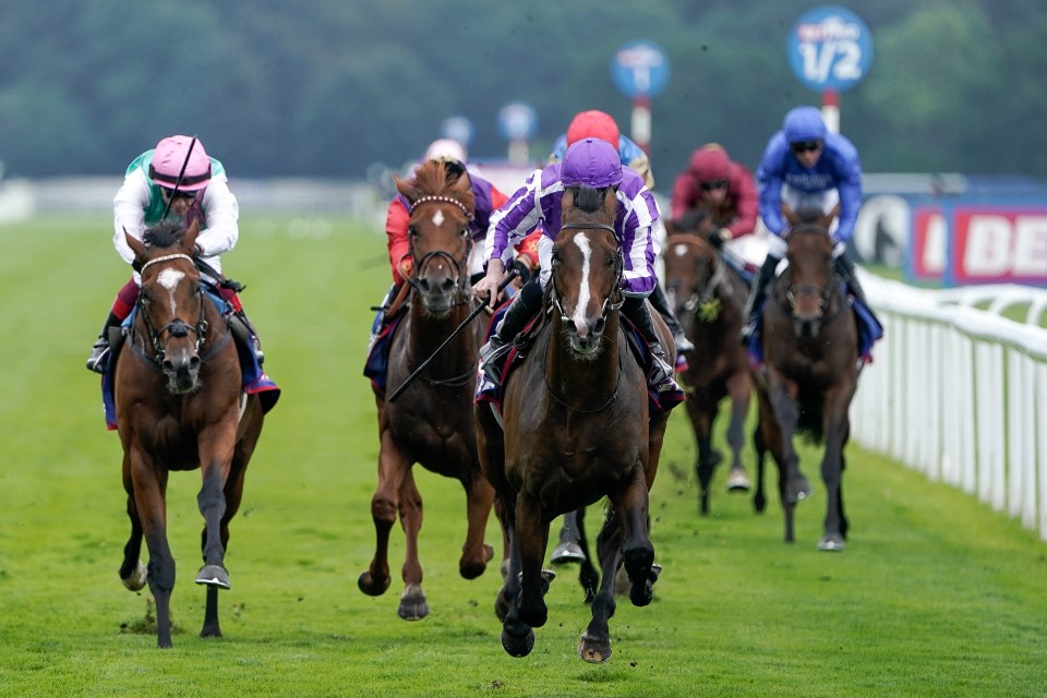 ‘Maddest’ weekend of racing sees ITV host 27-race spectacular as Doncaster takes centre stage for St Leger meeting