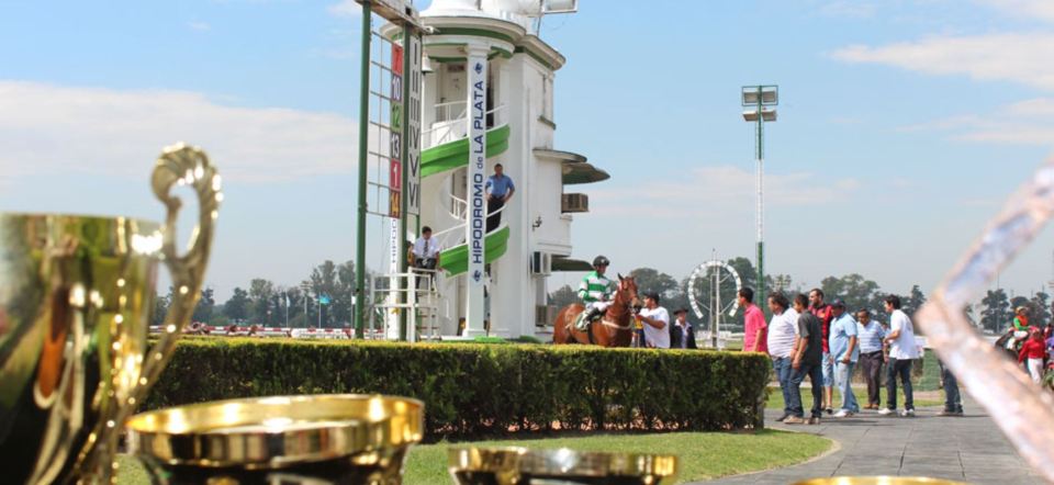 Two people shot and another stabbed as 30-man brawl breaks out at racecourse