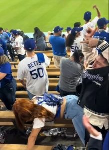 LA Dodgers fan goes viral for ‘raunchy’ celebration after Yankees World Series win leaving fans in stands stunned