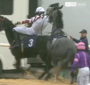 Horrific moment helpless jockey is flung like rag doll in terrifying pre-race scare at Sedgefield