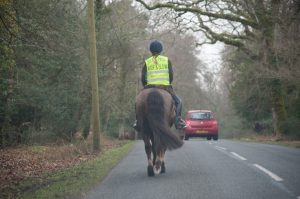 Promising racehorse dies after ‘horrific’ collision with car as rider escapes with minor injuries in terrifying scenes