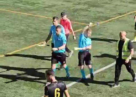 Shocking moment assistant referee is hit by lighter launched from stands before player leaps to his defence