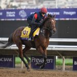 Aidan O’Brien pleased with City Of Troy draw as he prepares for date with destiny in Breeders’ Cup Classic