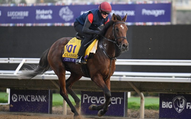 Aidan O’Brien pleased with City Of Troy draw as he prepares for date with destiny in Breeders’ Cup Classic