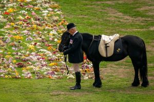 Queen Elizabeth II’s favourite pony Emma – who moved fans to tears at her funeral – pays final tribute to late monarch