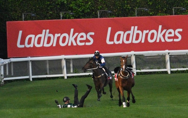 ‘We feared the worst’ – All hell breaks loose as £3million horse causes carnage before big race