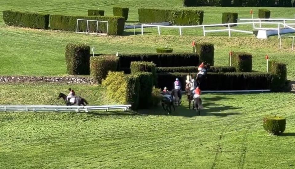 Jockeys give up and get off their horses as rules go out the window in race full of ‘mayhem’