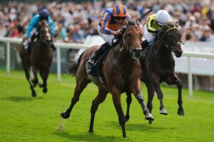 My 13-2 Cesarewitch tip – and why The Lion In Winter could be huge for Coolmore’s multi-million pound stallion operation