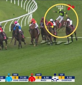 Watch ‘crazy dangerous’ moment jockey risks his own safety to comfort horse after horrific mid-race collapse