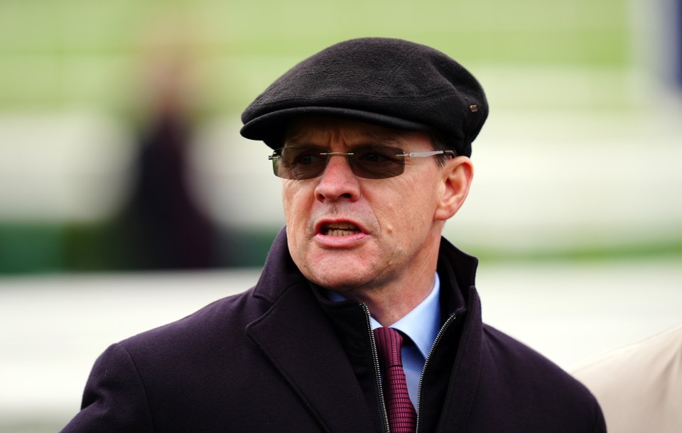 ‘Special’ Aidan O’Brien horse obliterated in odds for Guineas after going from nothing to Group 1 winner in nine days