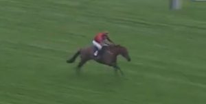 Punters in bits as millionaire property magnate come jockey David Maxwell ‘nearly falls off’ when horse accelerates