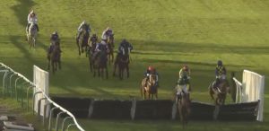 ‘Absolute carnage’ at Sedgefield as horse suffers shuddering fall at last fence and brings down another FOUR rivals