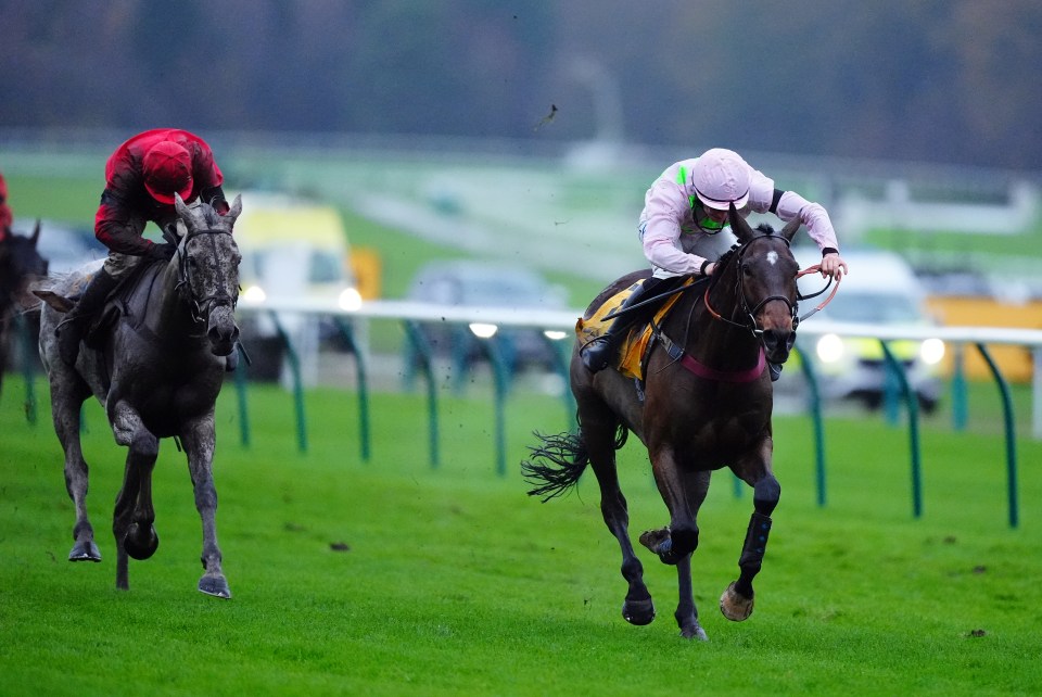 Royale Pagaille wins the Betfair Chase again as final fence blunder costs Grey Dawning