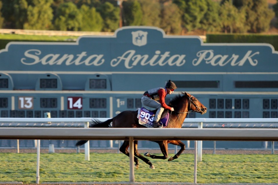 Who won Breeders’ Cup Turf 2024? Full results and finishing order for huge race at Del Mar