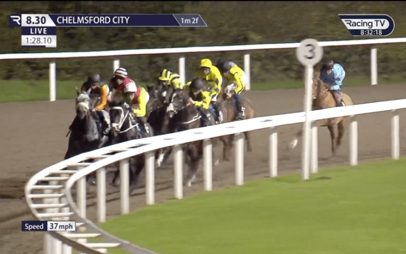 Fans blast ‘absolute shambles’ at Chelmsford with horses forced to stop midrace after ‘disgraceful’ blunder with stalls