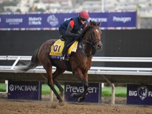 “Most over hyped and over rated horse in history” –  Punter’s split after City of Troy flops in Breeders’ Cup Classic