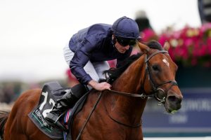 ‘He had no chance’ – Aidan O’Brien reveals exactly what went wrong for City Of Troy after Breeders Cup Classic flop