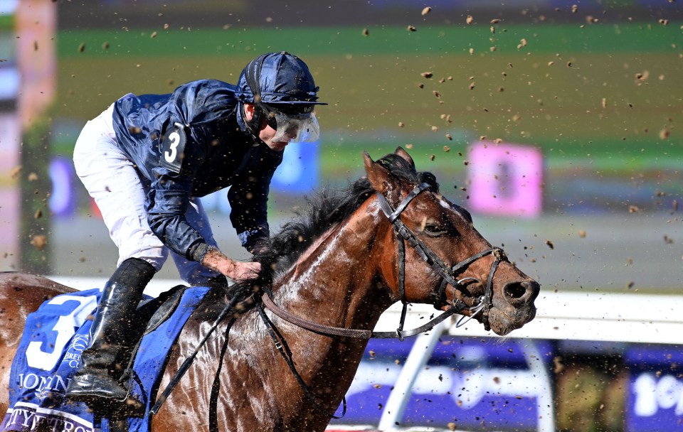 ‘What absolute rubbish’ – punters outraged as City Of Troy crowned Cartier’s Horse Of The Year at fancy Mayfair awards