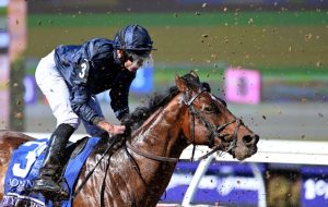 City Of Troy named Timeform’s Horse Of The Year despite Breeders’ Cup flop as Bluestocking not in top three