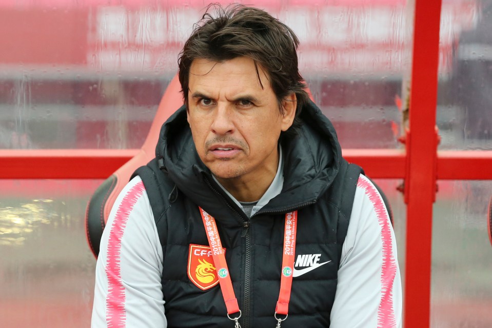 Chris Coleman hired by Premier League owner as he takes on tenth managerial job in seventh country