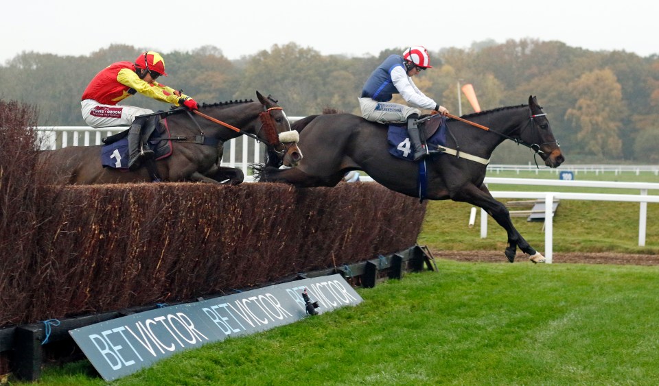 Harry Redknapp is eyeing up the Cheltenham Festival after his big win at Newbury