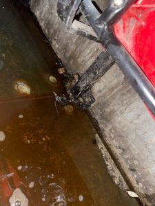 Fan spots DEAD RAT in puddle under Old Trafford seat as Man Utd’s crumbling stadium hits new low