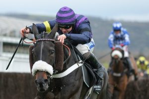 Racing fans pay tribute as two horses tragically die of suspected heart attacks in the same race at Cheltenham