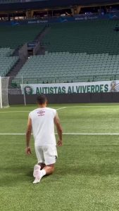 Ex-Chelsea star Thiago Silva walks entire length of pitch on his knees after Fluminense narrowly avoid relegation