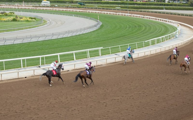 Iconic 91-year-old racecourse that hosts £27million spectacle release statement as deadly wildfires ravage nearby