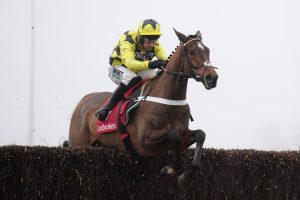 ‘If you backed him, you’ll win’ – The Cheltenham Festival ante-post horses bookies fear the most